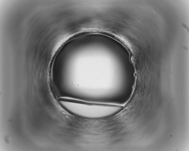 X0000094931279200712201044