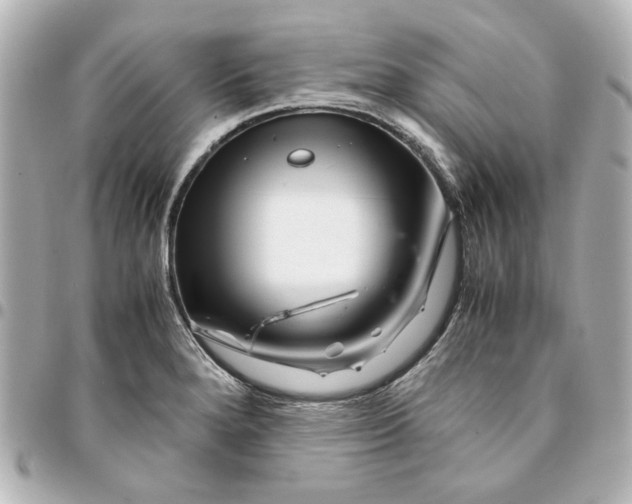 X0000094931280200712201044