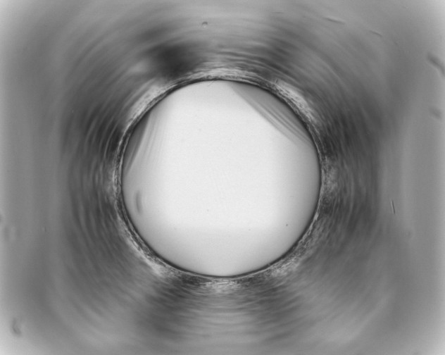 X0000094931282200712201044