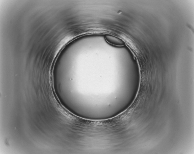 X0000094931283200712201044