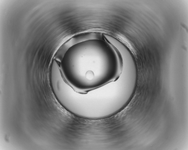 X0000094931284200712201044