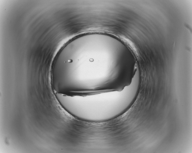 X0000094931288200712201044