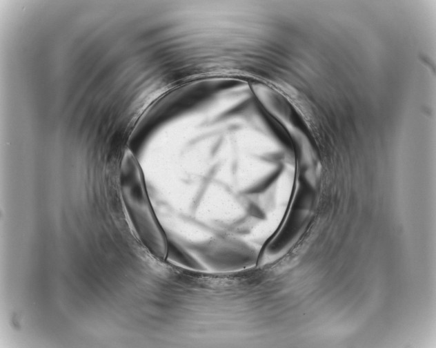 X0000094931289200712201044