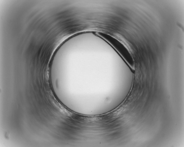 X0000094931292200712201044