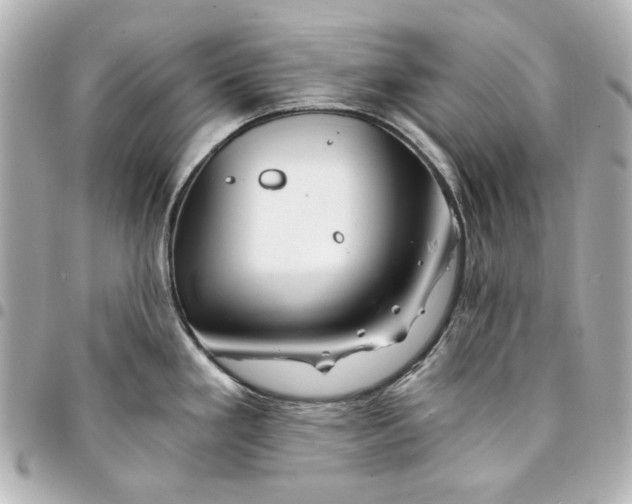 X0000094931293200712201044