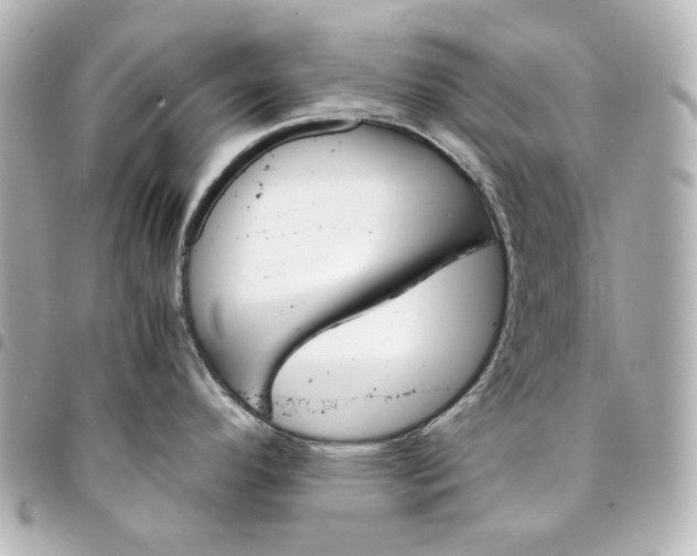 X0000094931296200712201044