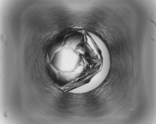 X0000094931297200712201043