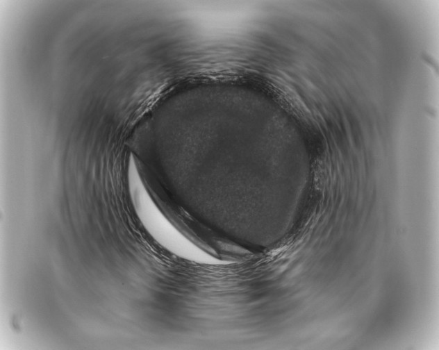 X0000094931298200712201043
