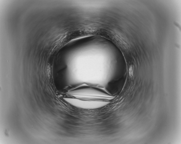 X0000094931299200712201043