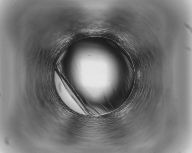 X0000094931300200712201043