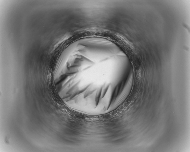 X0000094931302200712201043