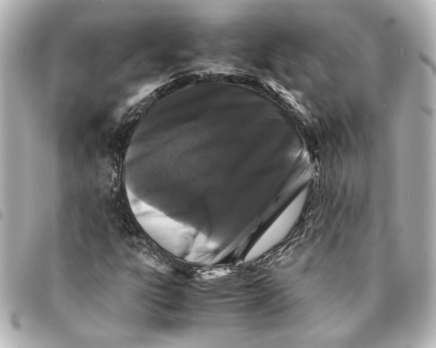 X0000094931303200712201043