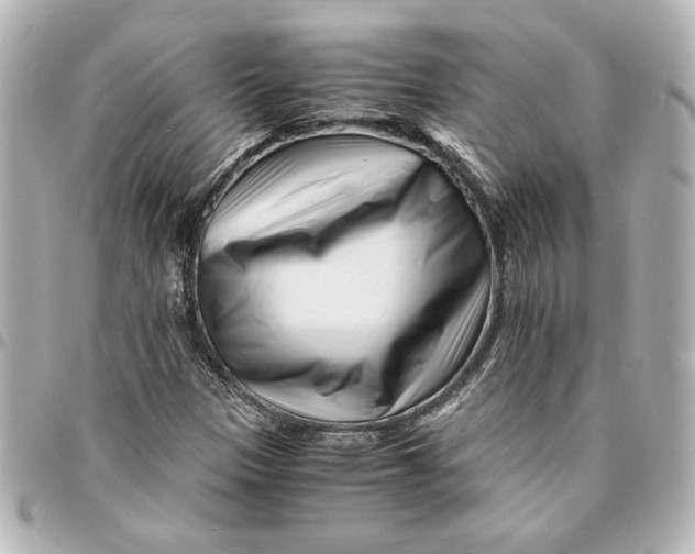 X0000094931305200712201043