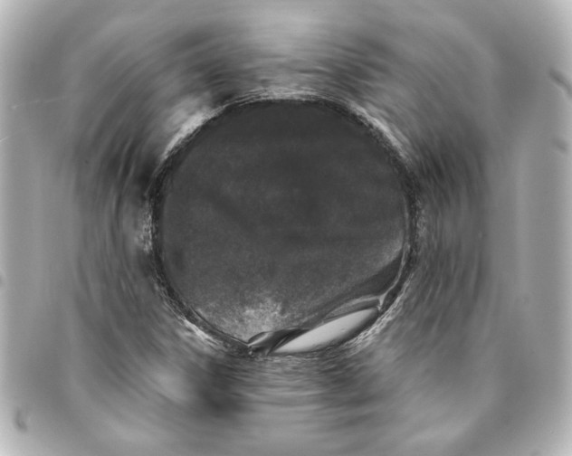 X0000094931306200712201043
