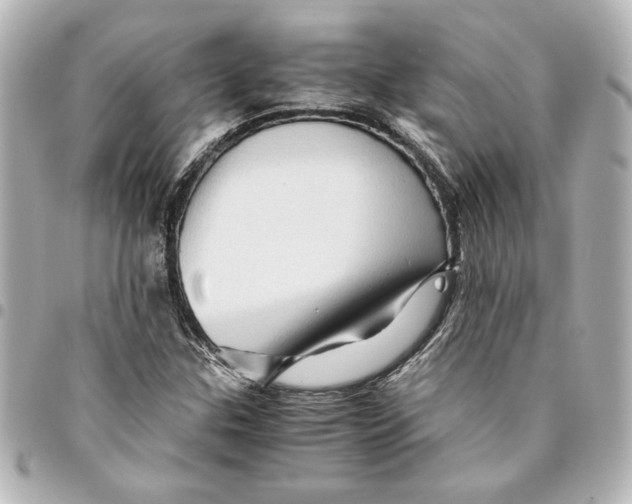 X0000094931307200712201043