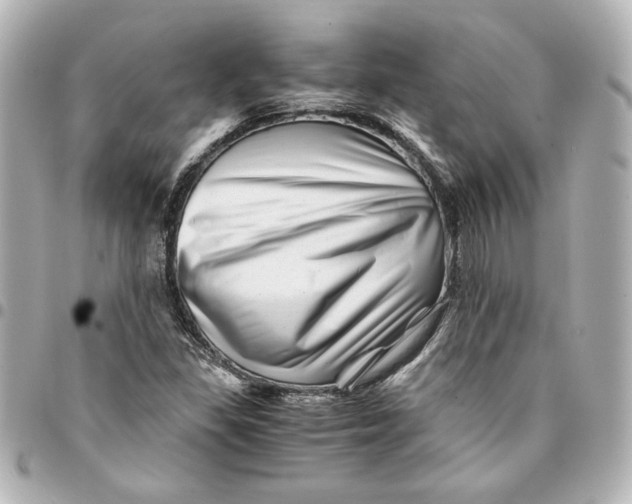 X0000094931309200712201043