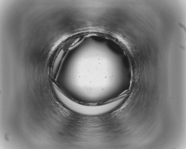 X0000094931310200712201044