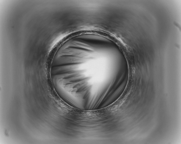 X0000094931311200712201044