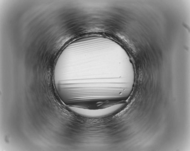 X0000094931313200712201044