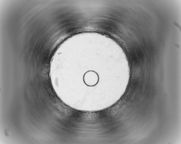 X0000094931314200712201044