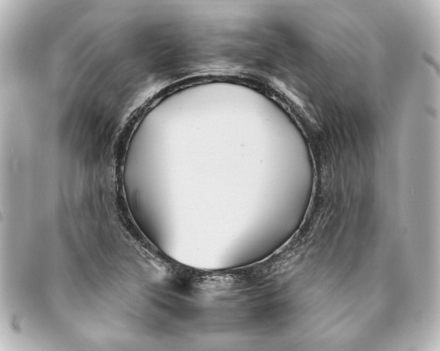X0000094931315200712201044