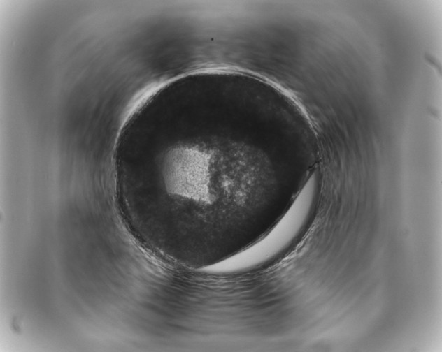 X0000094931319200712201044