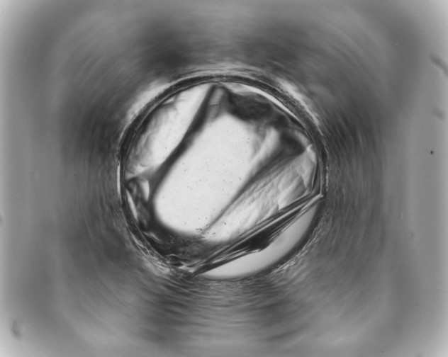 X0000094931320200712201044