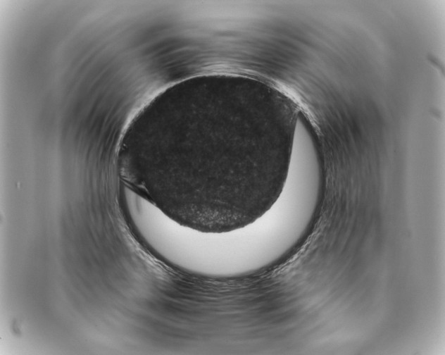 X0000094931323200712201044