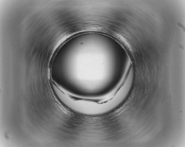 X0000094931324200712201044