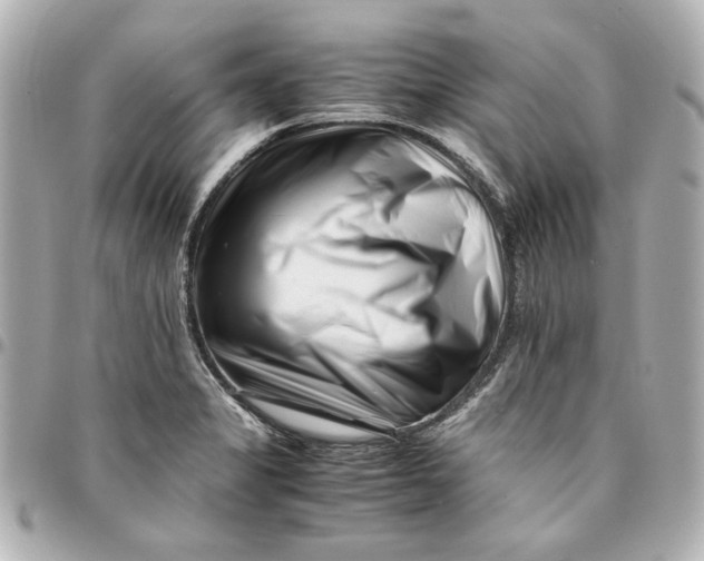 X0000094931325200712201044