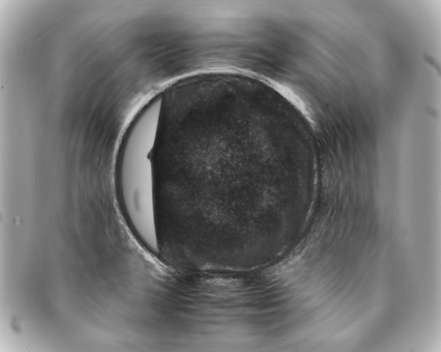 X0000094931327200712201044