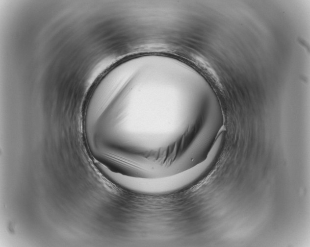 X0000094931328200712201044