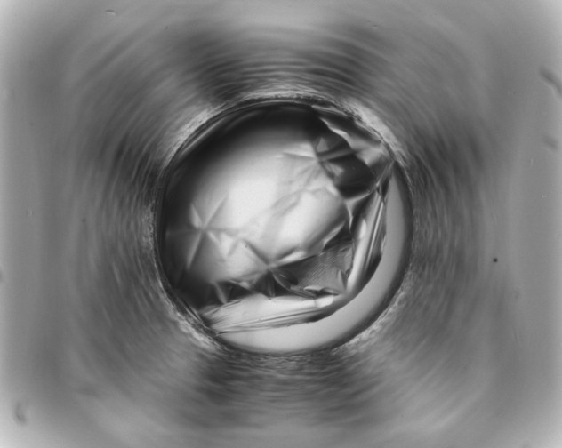 X0000094931329200712201044