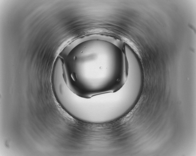X0000094931330200712201044
