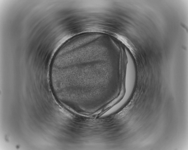 X0000094931331200712201044