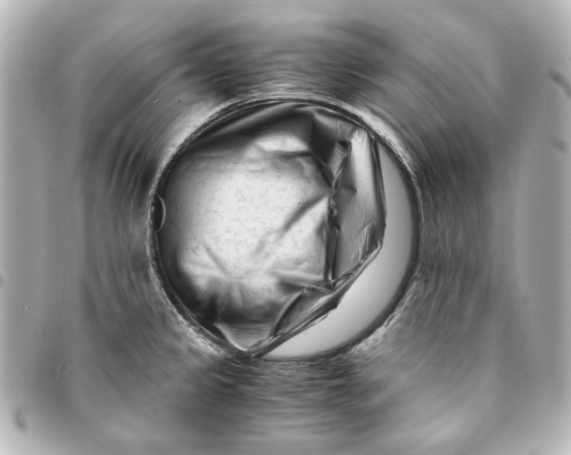 X0000094931333200712201044