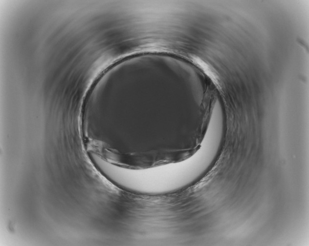 X0000094931334200712201044