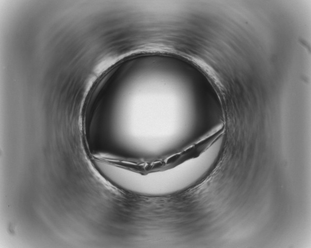 X0000094931335200712201044