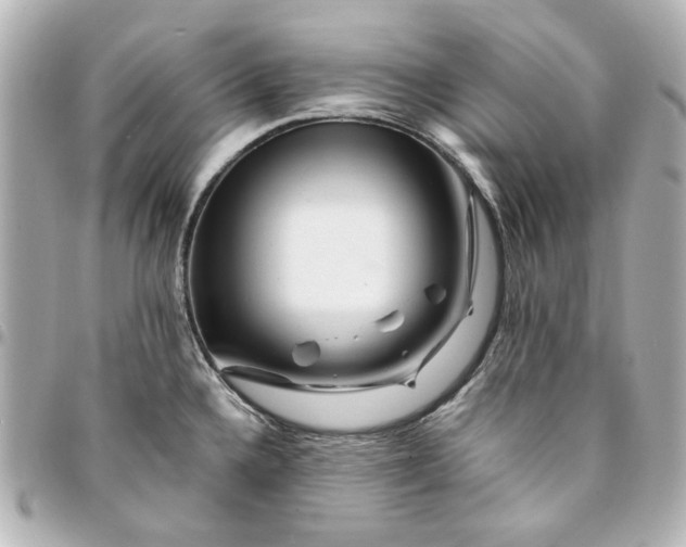 X0000094931336200712201044