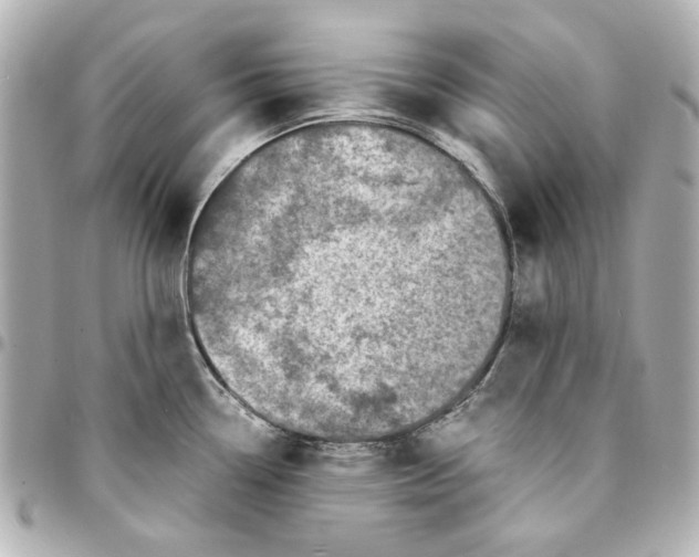 X0000094931338200712201044