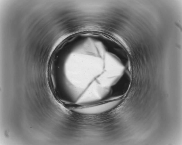 X0000094931339200712201044