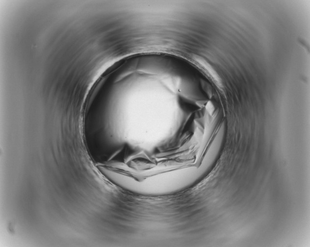 X0000094931340200712201044