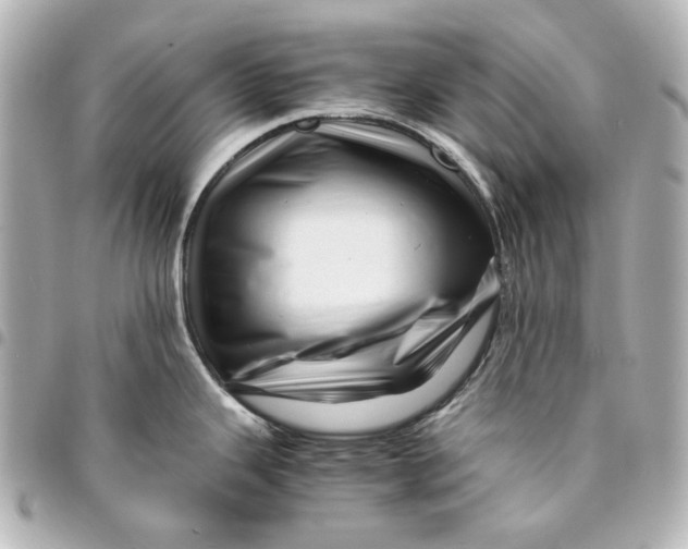 X0000094931343200712201044