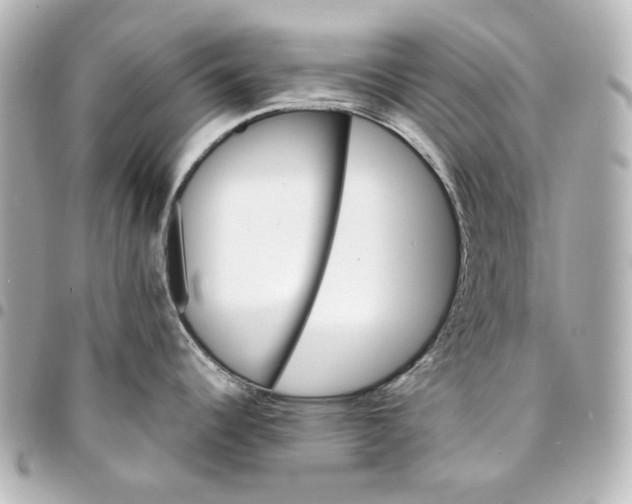 X0000094931344200712201044