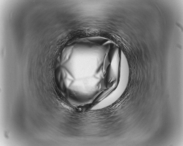X0000094931345200712201043