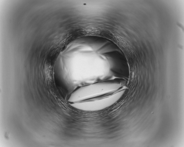 X0000094931346200712201043