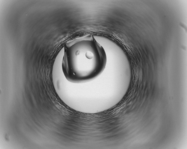 X0000094931348200712201043