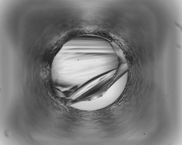 X0000094931349200712201043