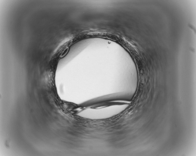 X0000094931351200712201043