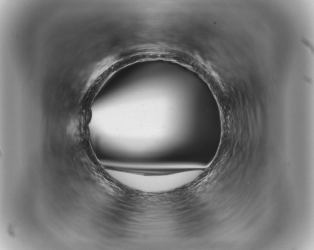 X0000094931352200712201043